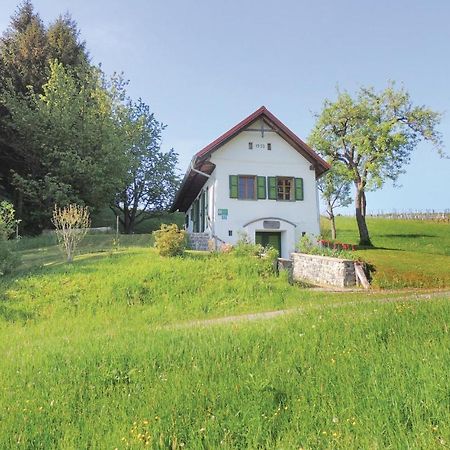 Haus In Strem Mit Panoramab, Villa Buitenkant foto
